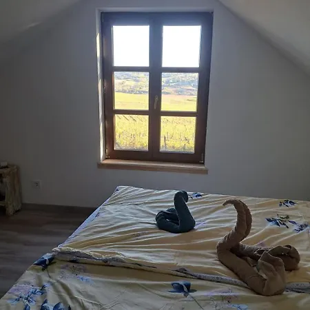 בית נופש Felix Pince